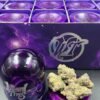 WIZARD TREES – PREMIUM INDOOR DESIGNER FLOWER JARS – 3.5GM