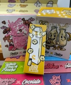 CHOICES LAB DUAL FLAVOR 2G DISPOSABLE –  2 IN 1