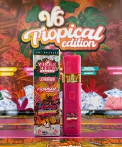 Whole Melt Disposable 2G V6 – Tropical Edition
